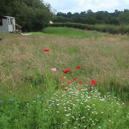 Little Idyll Shepherds Hut Vila Chester Exterior foto