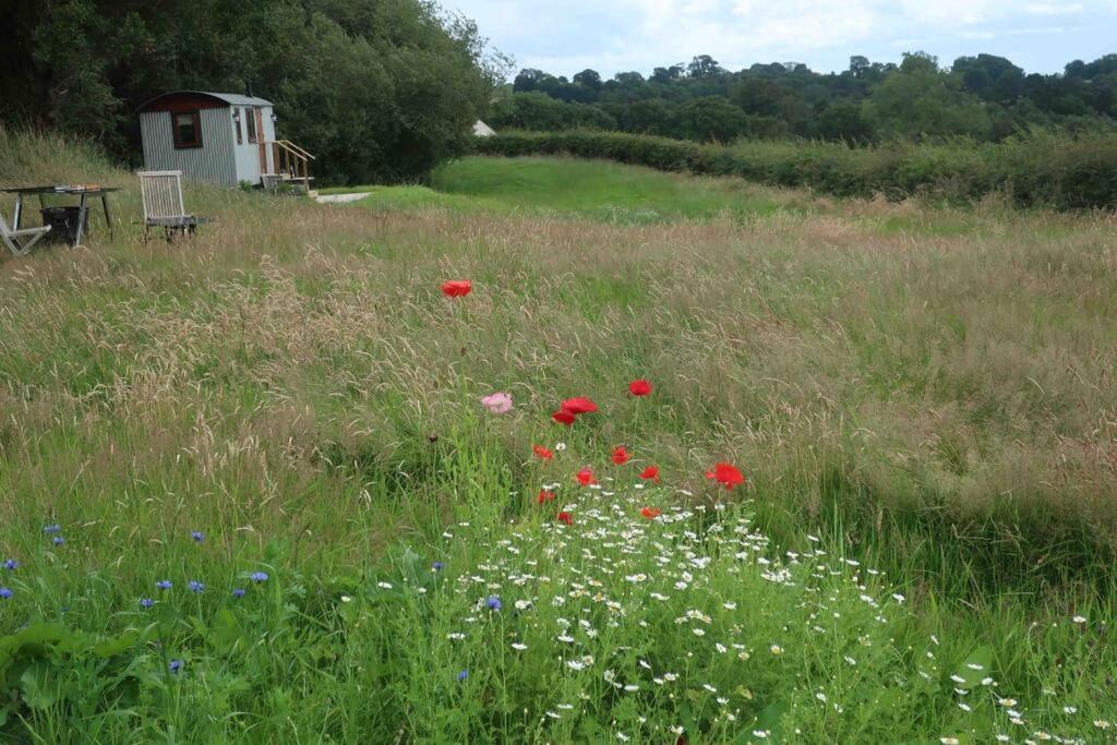 Little Idyll Shepherds Hut Vila Chester Exterior foto